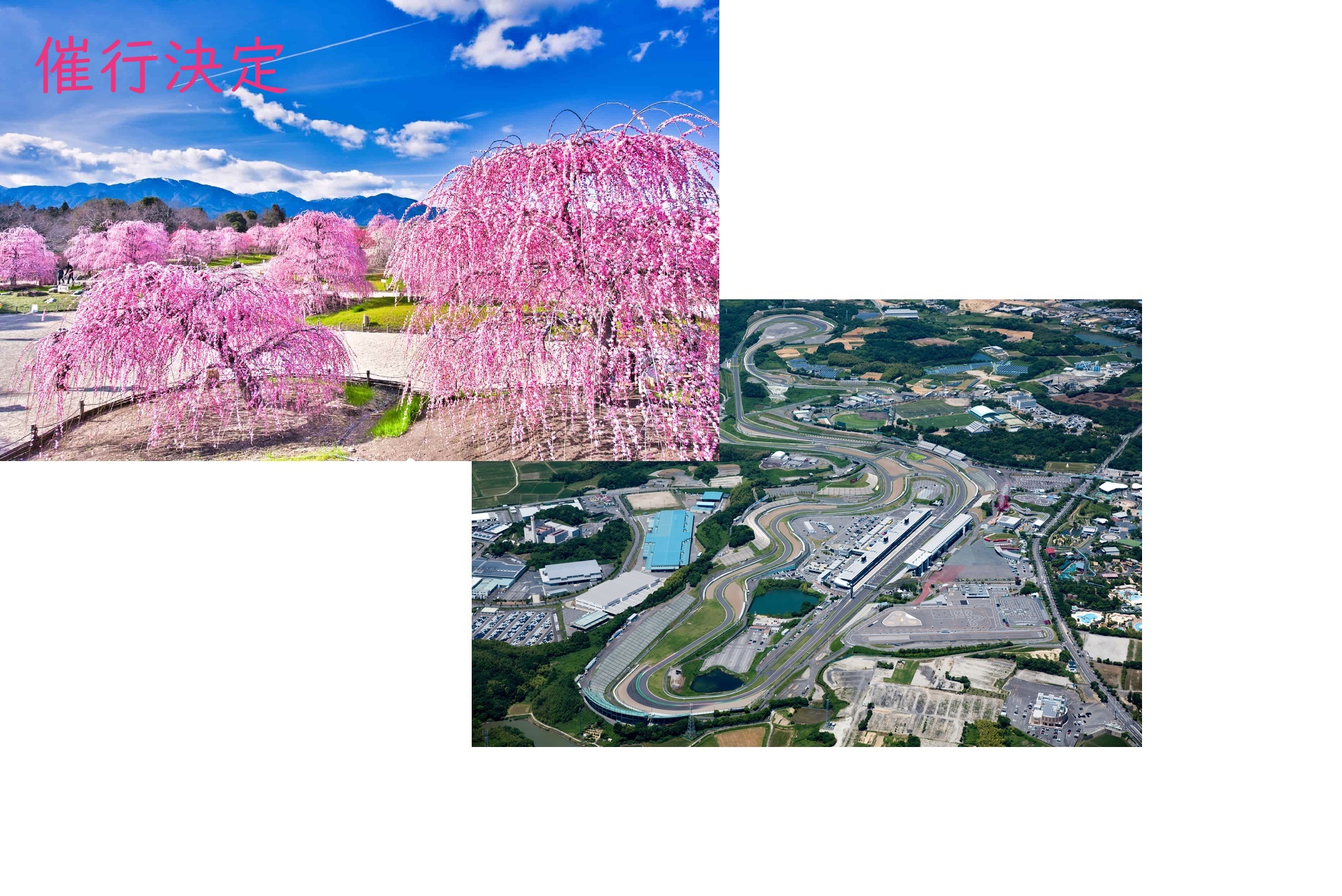 梅・サーキット決定
