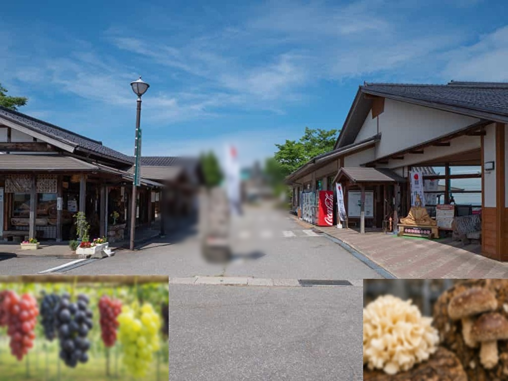 社会見学・味覚体験